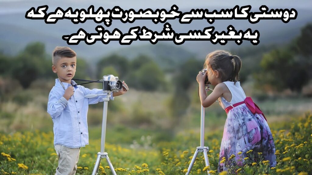 Friendship Quotes in Urdu