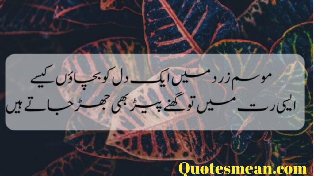 Love Quotes In Urdu