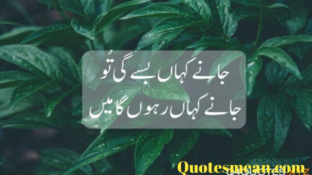 Love Quotes In Urdu