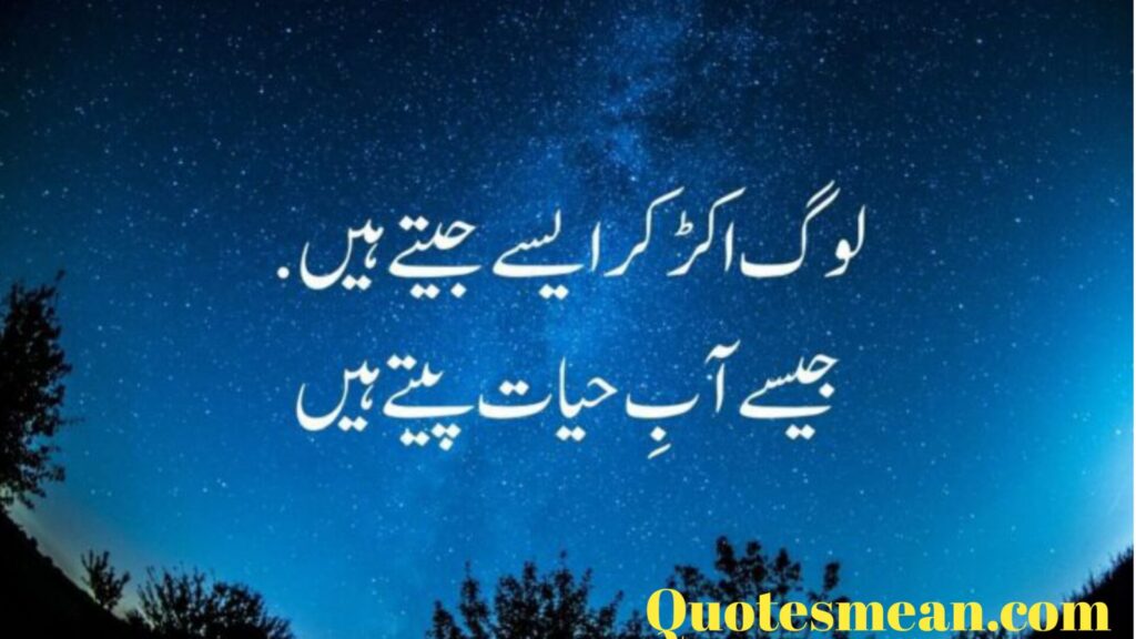 Love Quotes In Urdu