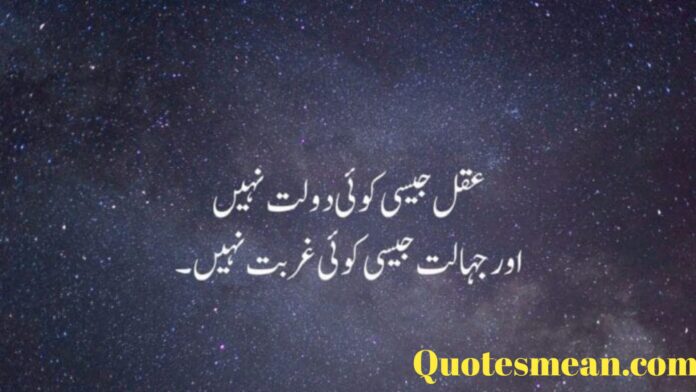 Hazrat Ali Quotes in Urdu