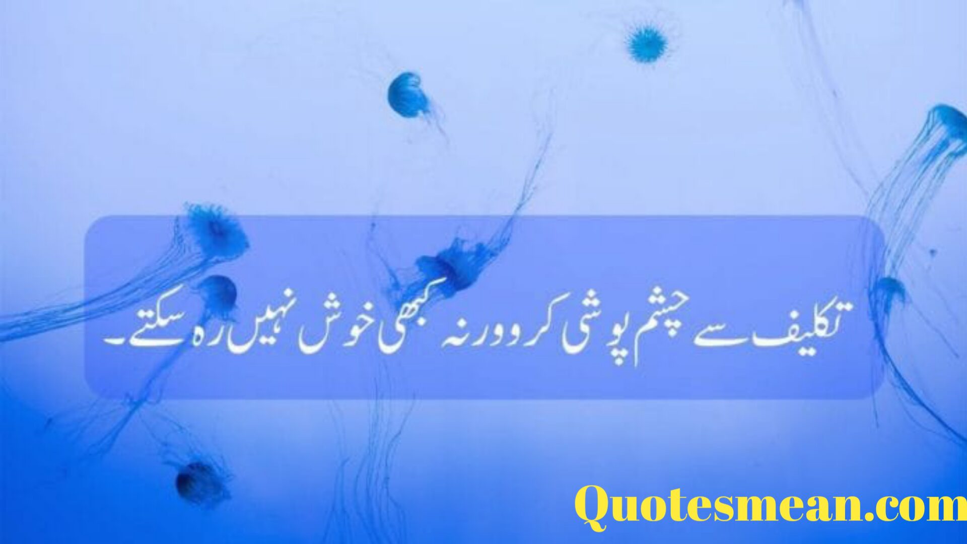 Hazrat Ali Quotes 